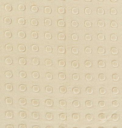 Pure Salt Patara PAT-1 Cream Area Rug by Momeni