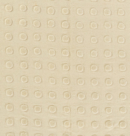 Pure Salt Patara PAT-1 Cream Area Rug by Momeni
