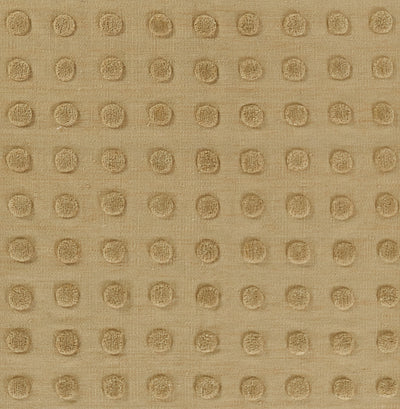 Pure Salt Patara PAT-1 Taupe Area Rug by Momeni