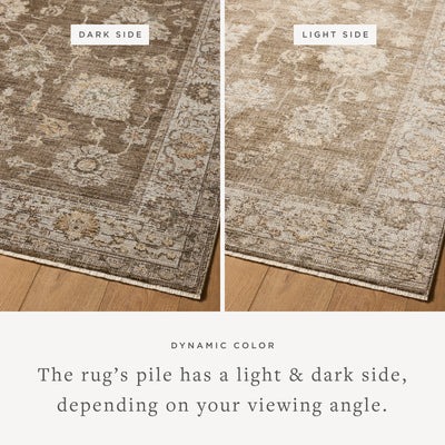 Layered in grounded bark and refined ivory hues with vintage patterns, the Priscilla PRL-01 Bark / Ivory Area Rug is a power-loomed 100% polyester area rug perfect for any setting