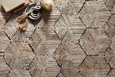 Prescott PRE-02 Beige Area Rug by Loloi
