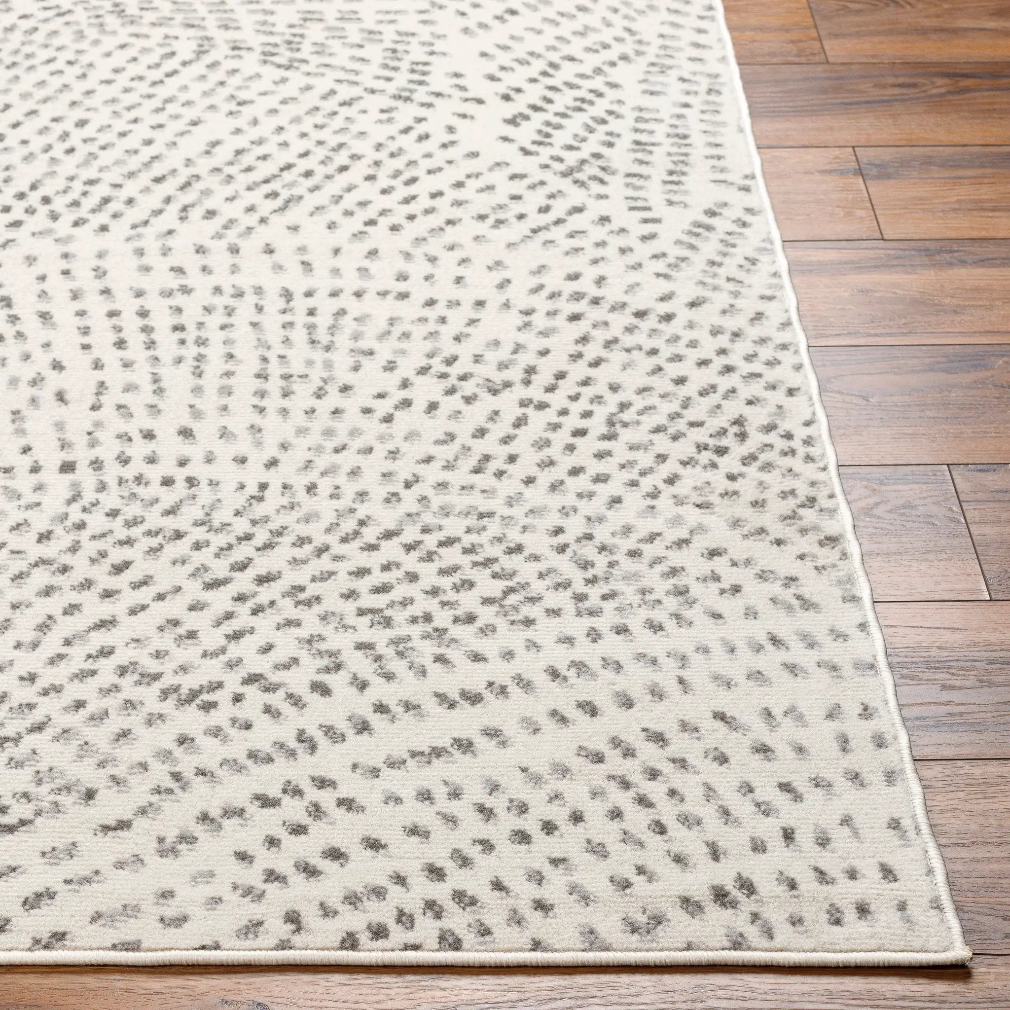 Pisa PSS-2365 Light-Gray Area Rug by LIVABLISS