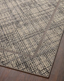  Rainier RAI-10 Ivory and charcoal modern indoor outdoor area rug, power-loomed, outdoor durable polypropylene