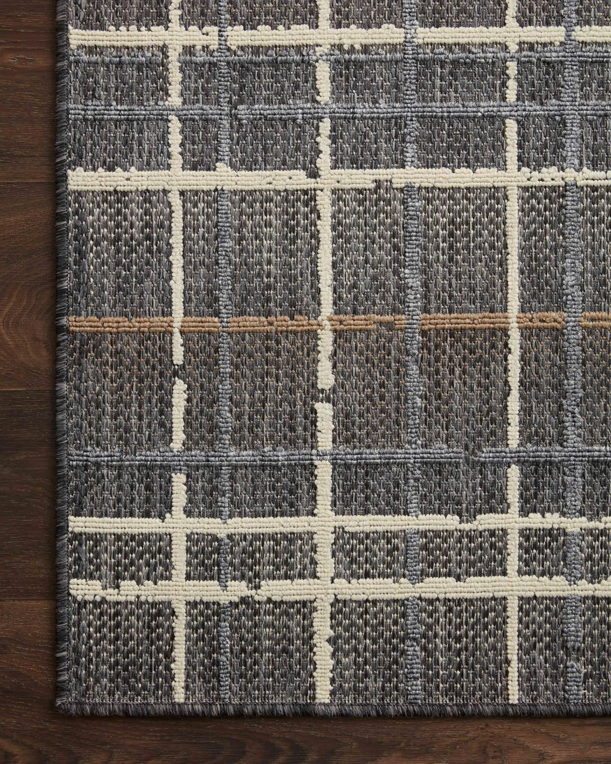 Rainier RAI-11 Charcoal / Multi Area Rug by Loloi