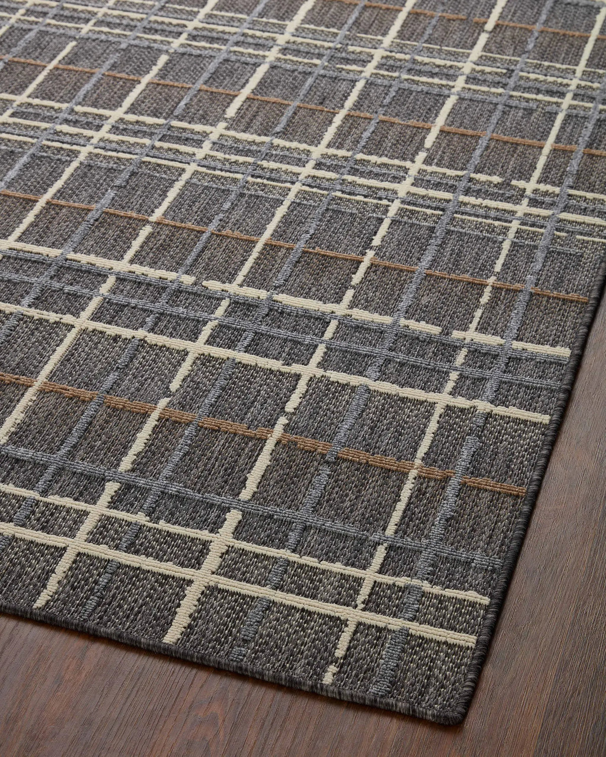Rainier RAI-11 Charcoal / Multi Area Rug by Loloi