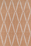 River RIV-1 Orange Area Rug