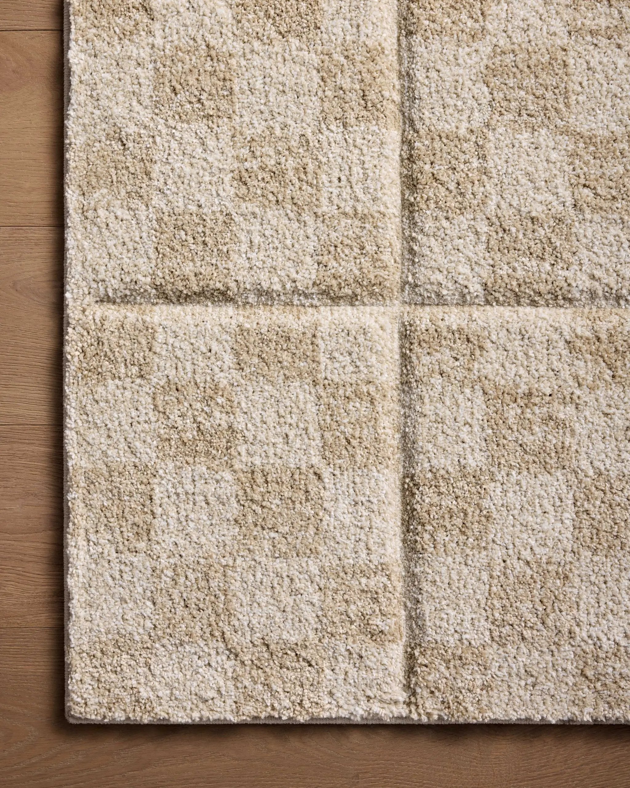 Silas SLA-01 Oatmeal / Sand Area Rug by Loloi
