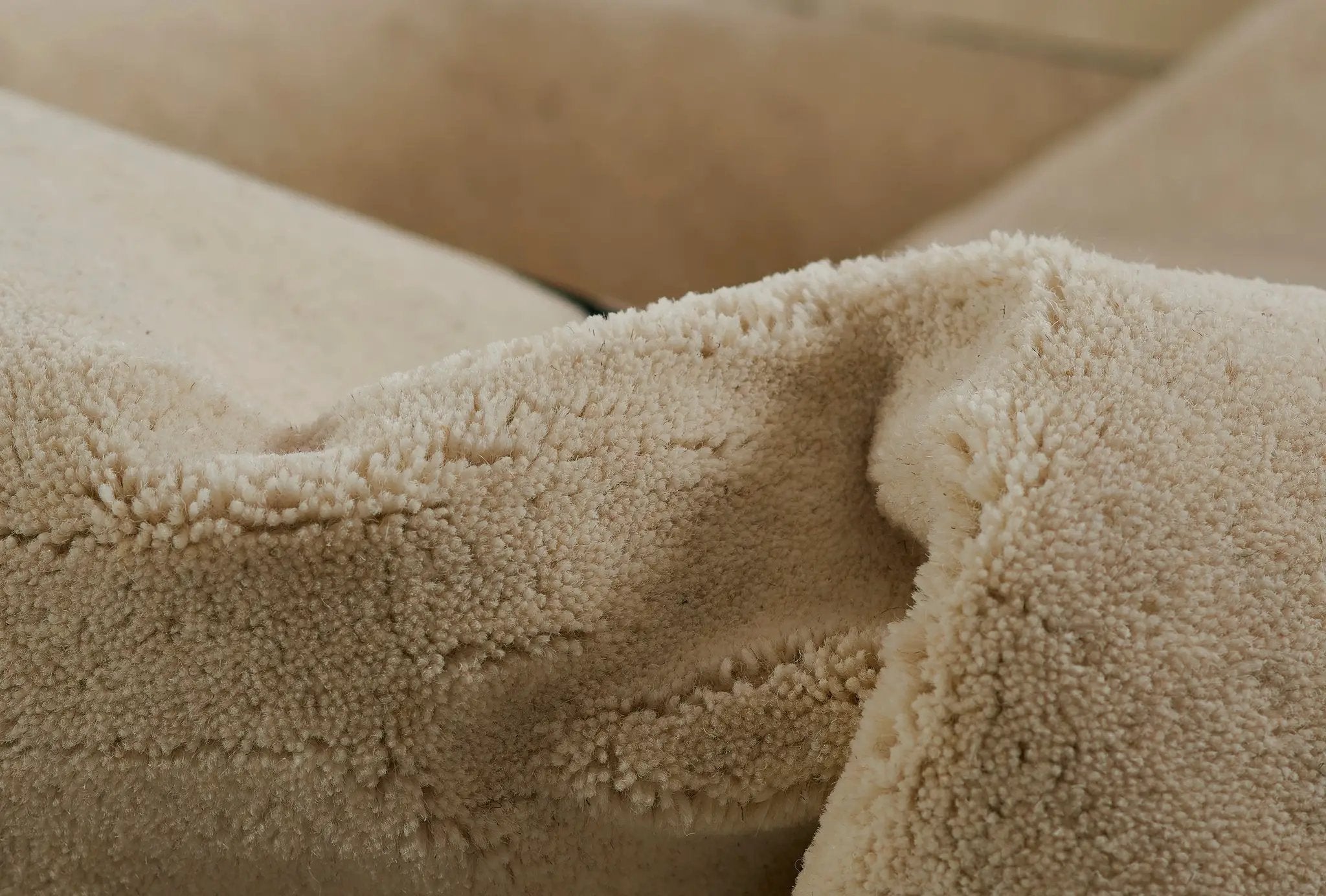 Simba SIM-8 Ivory Area Rug by Momeni