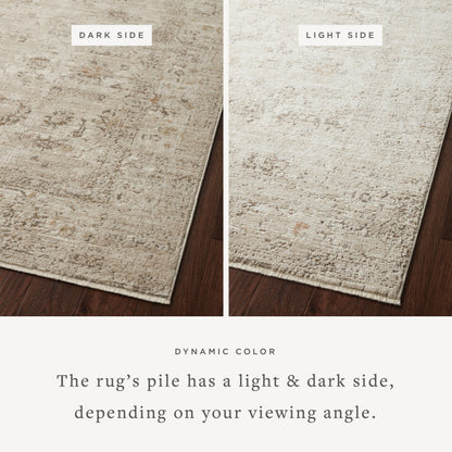Expertly crafted as a power-loomed polypropylene and polyester area rug with traditional artistry, the Sonnet SNN-01 Sand / Taupe Area Rug captures sandy and versatile taupe tones beautifully