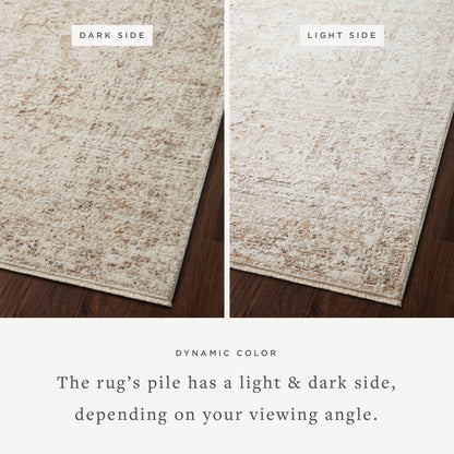 Finished in warm beige and rich terracotta tones with traditional styling, the Sonnet SNN-03 Beige / Terracotta Area Rug is a power-loomed polypropylene and polyester area rug for modern living