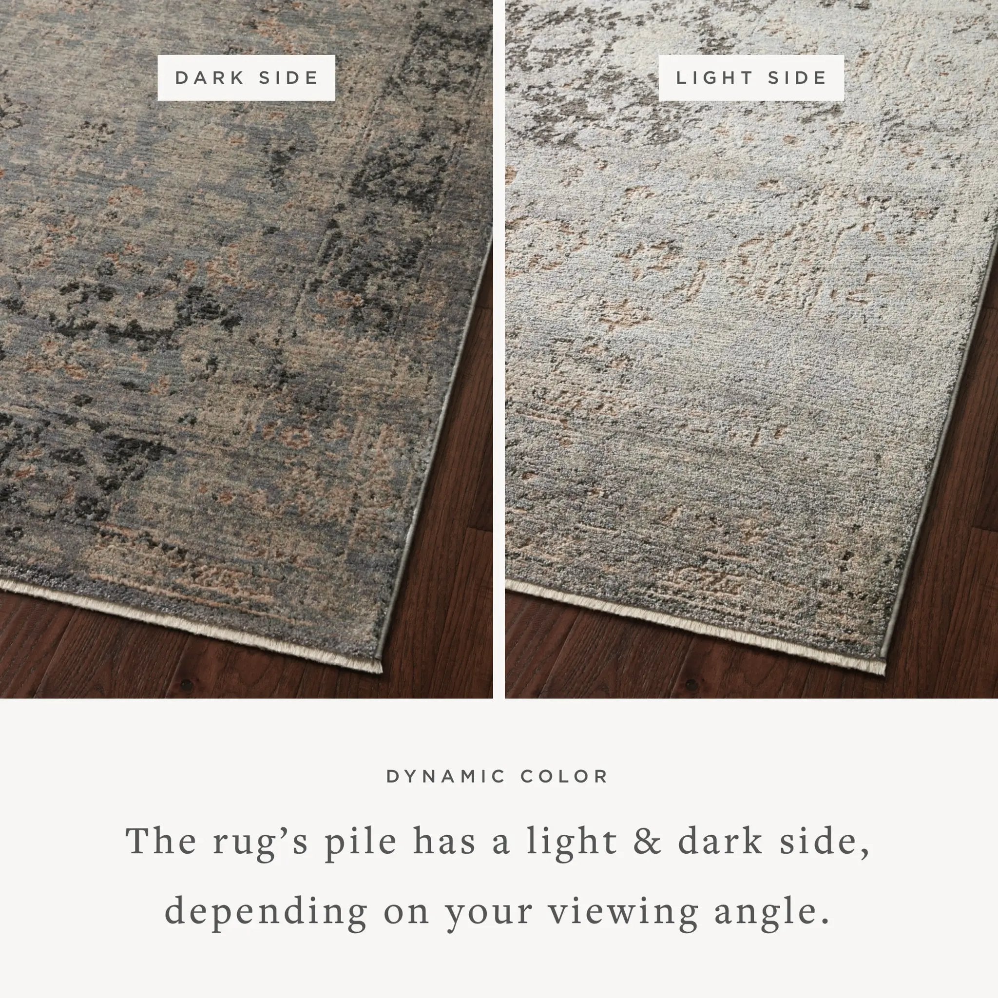 Sonnet SNN-05 Charcoal / Slate Area Rug by Loloi