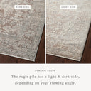 The Sonnet SNN-05 Silver / Natural Area Rug transforms any space with shimmering silver and warm natural tones and traditional design in a power-loomed polypropylene and polyester area rug