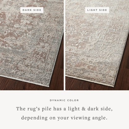 The Sonnet SNN-05 Silver / Natural Area Rug transforms any space with shimmering silver and warm natural tones and traditional design in a power-loomed polypropylene and polyester area rug