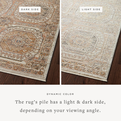 A power-loomed polypropylene and polyester area rug in warm apricot and vibrant multi-toned tones with traditional motifs, the Sonnet SNN-06 Apricot / Multi Area Rug grounds your room beautifully