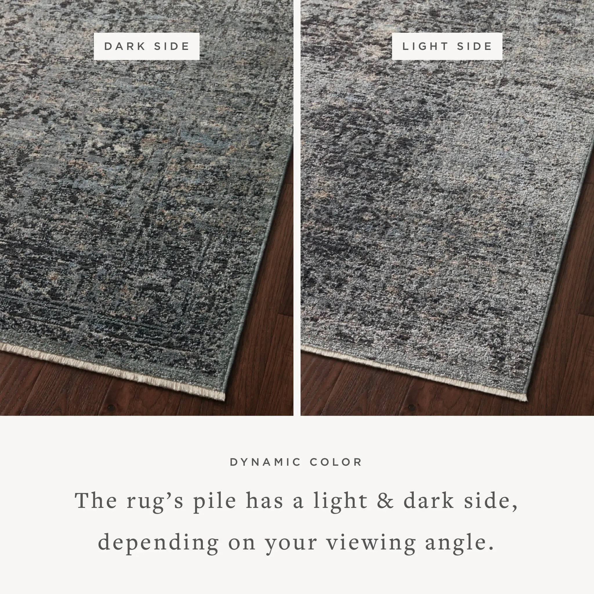 Sonnet SNN-07 Charcoal / Mist Area Rug by Loloi
