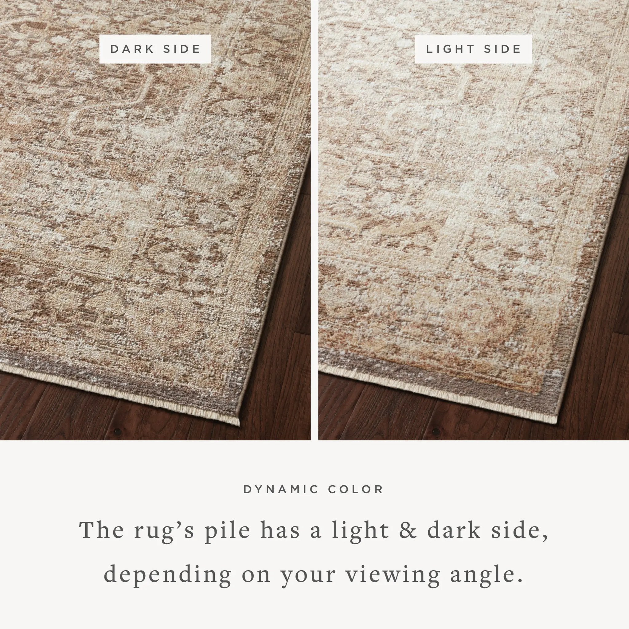 Sonnet SNN-09 Mocha / Tan Area Rug by Loloi