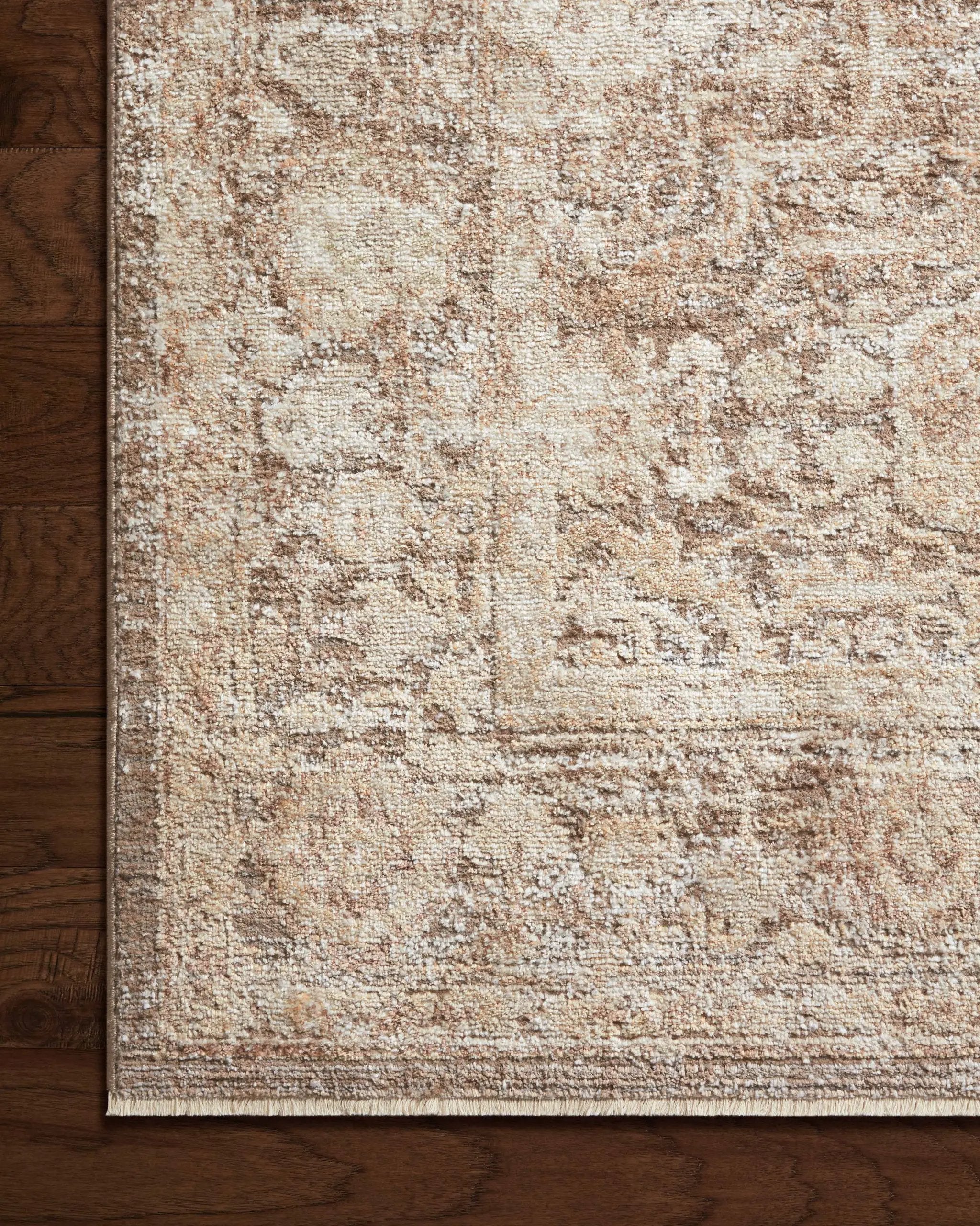 Sonnet SNN-09 Mocha / Tan Area Rug by Loloi