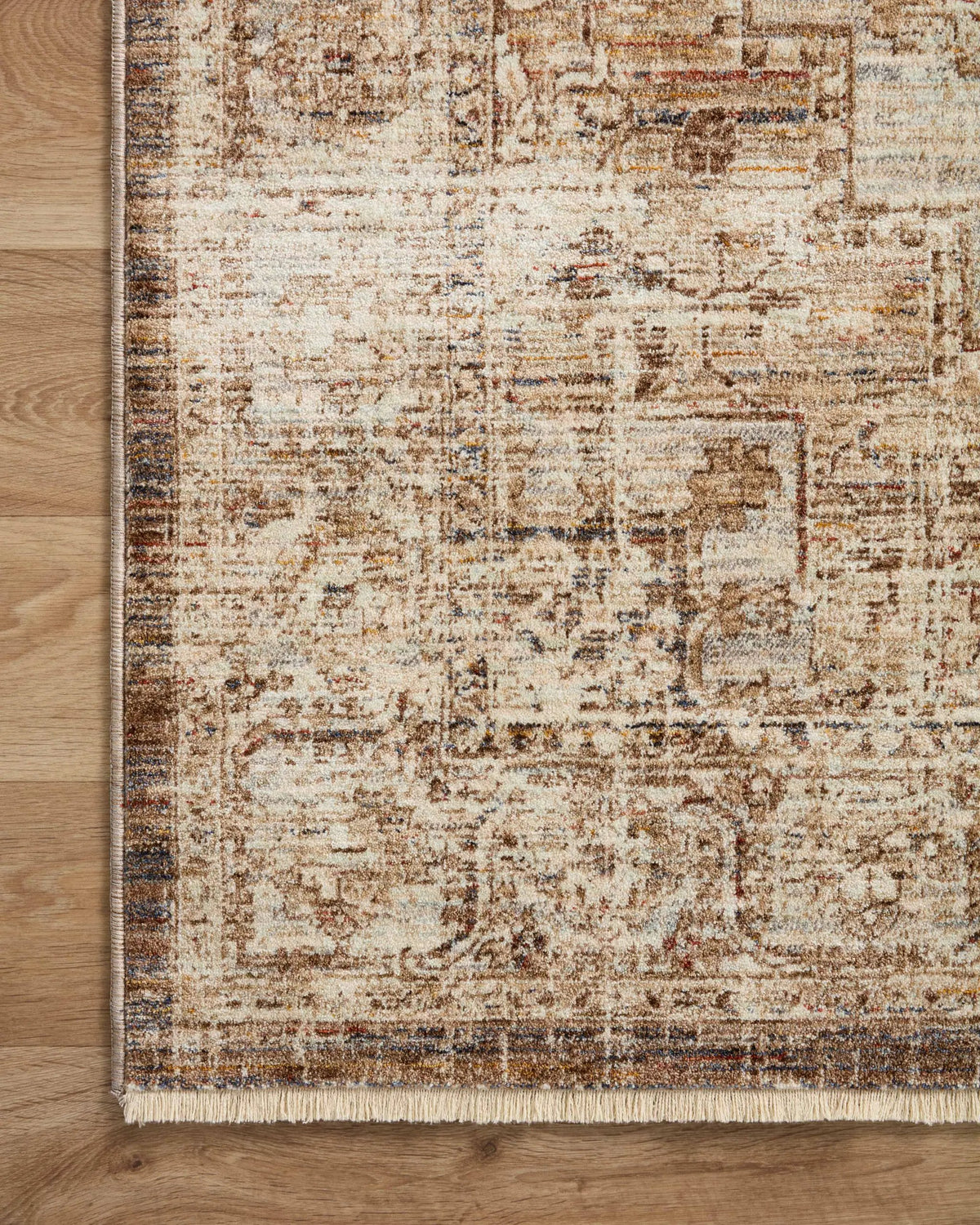 Sorrento SOR-03 Mocha / Multi Area Rug by Loloi