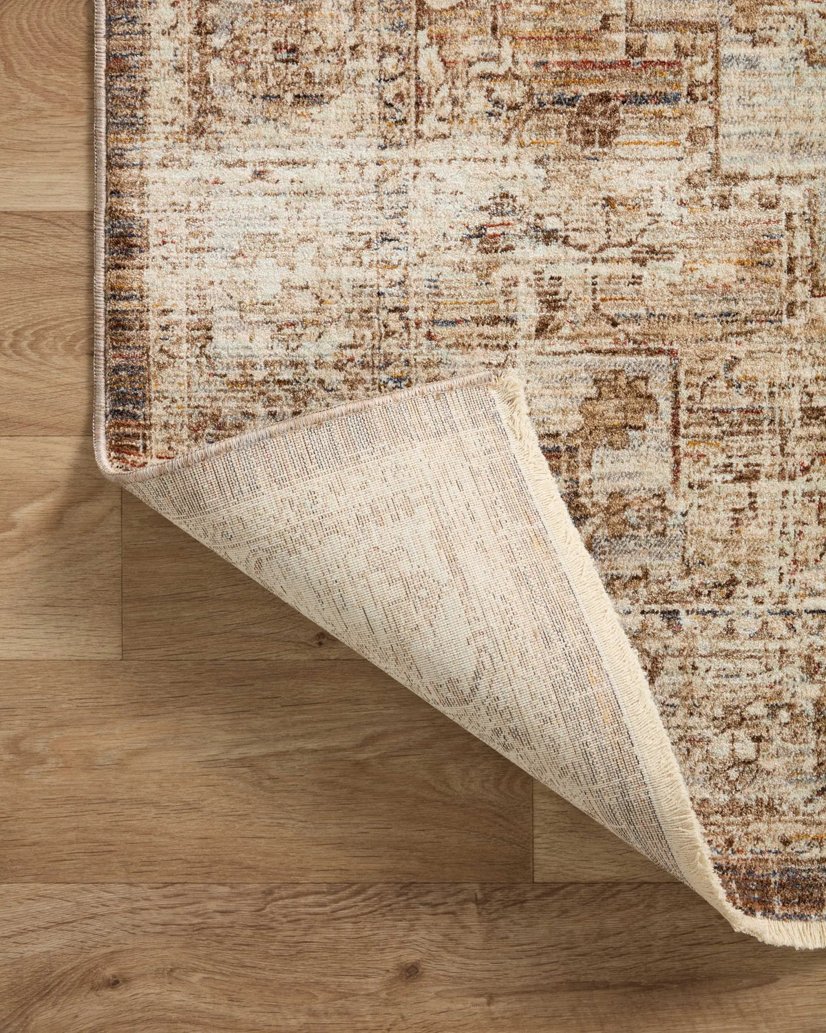 Sorrento SOR-03 Mocha / Multi Area Rug by Loloi