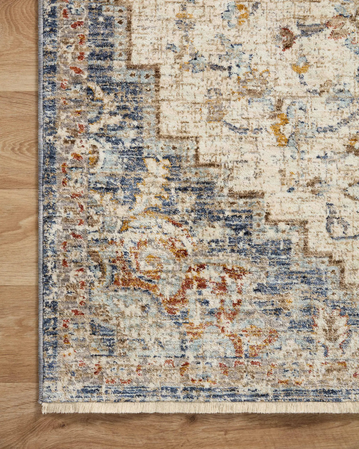 Sorrento SOR-05 Ivory / Fiesta Area Rug by Loloi