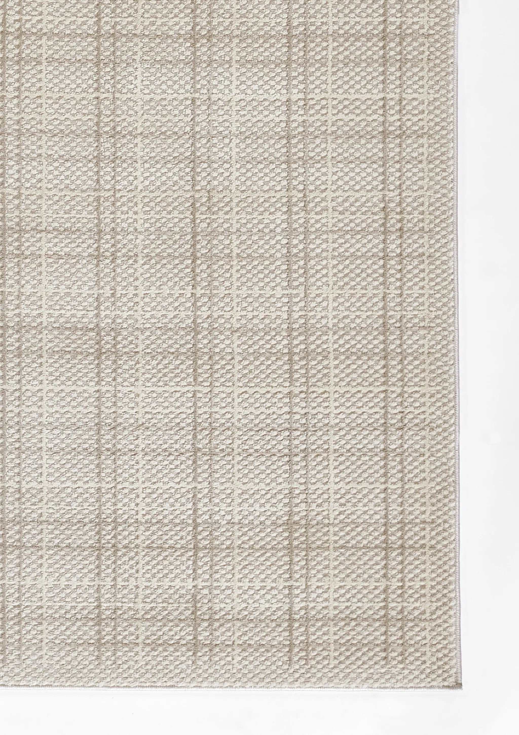 Talia TLI-1 Beige Area Rug by Momeni