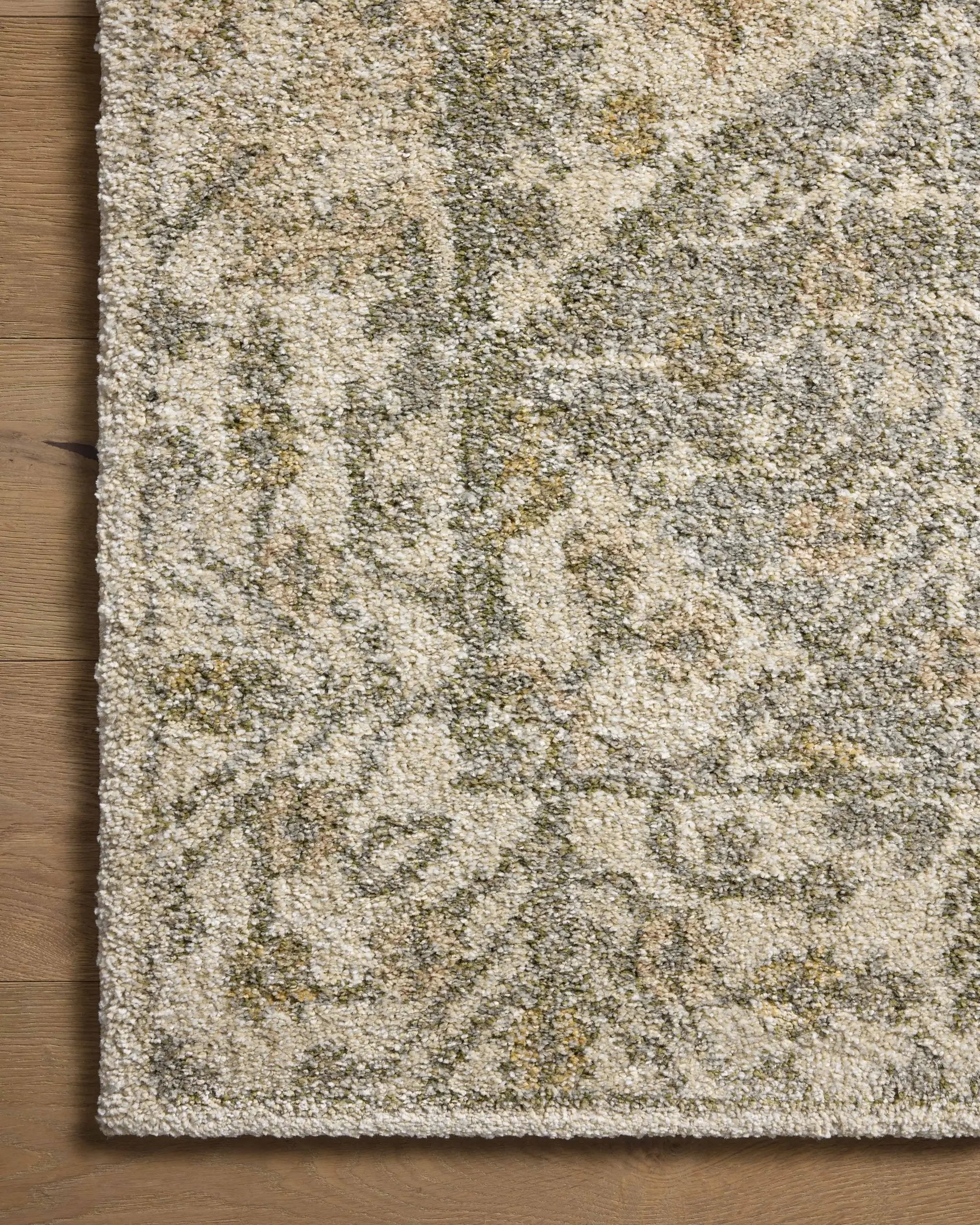 Tamryn TAM-01 Beige / Multi Area Rug by Loloi