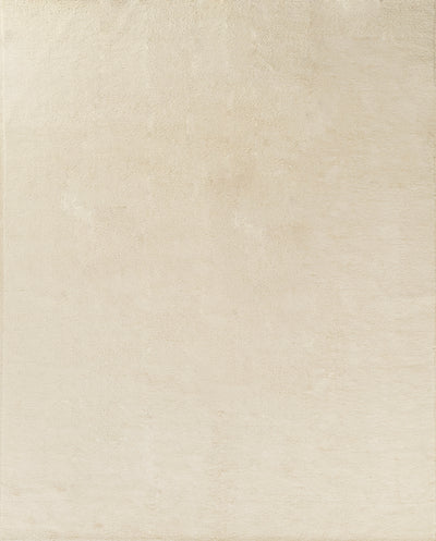 Pure Salt Tavira TAV-1 Ivory Hand Woven Area Rug by Momeni