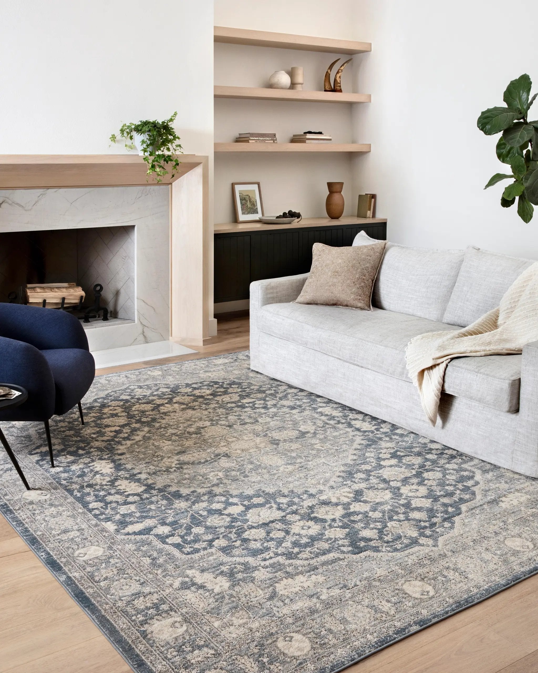Teagan TEA-01 Denim / Mist Area Rug by Loloi