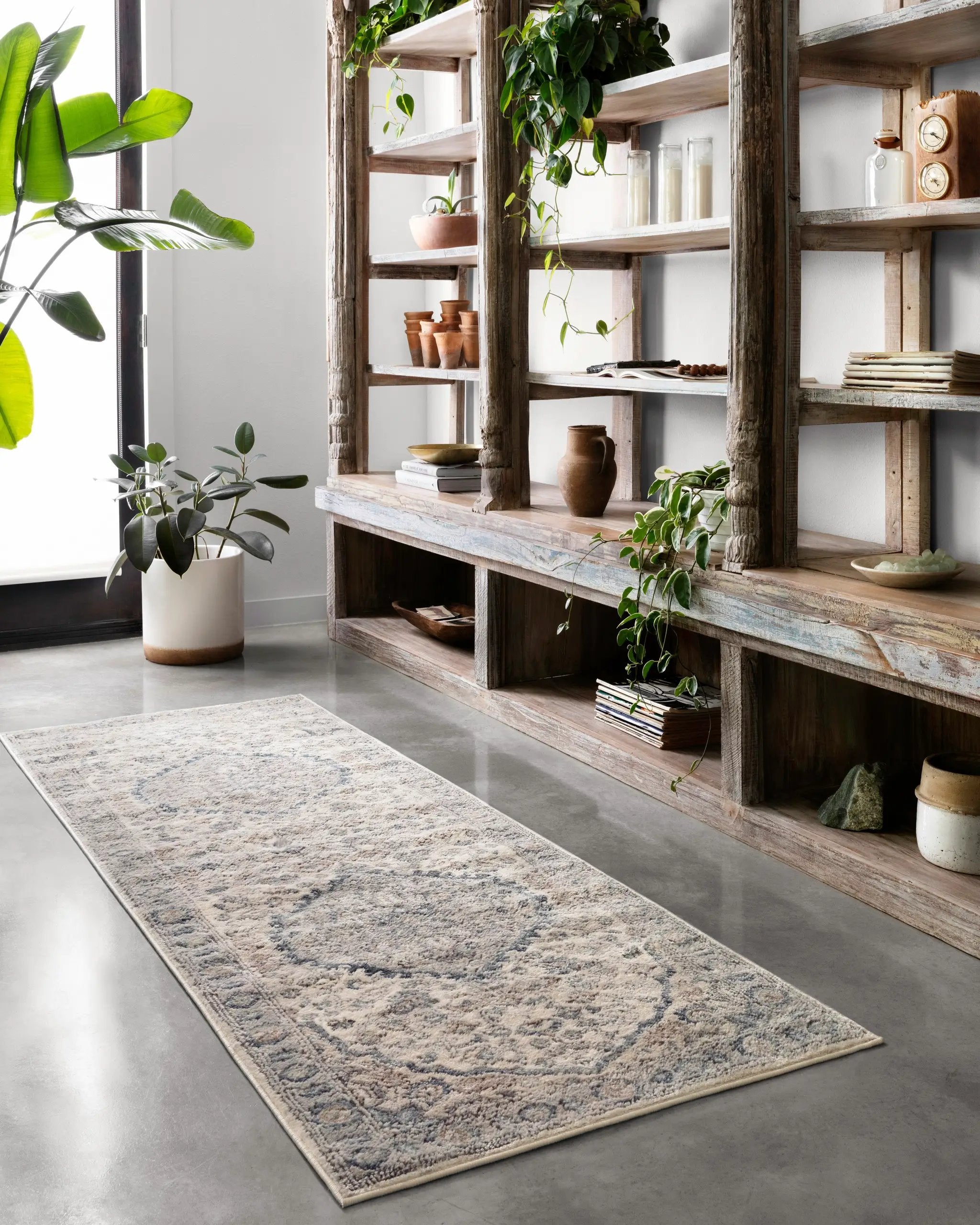 Teagan TEA-01 Natural / Lt. Grey Area Rug by Loloi