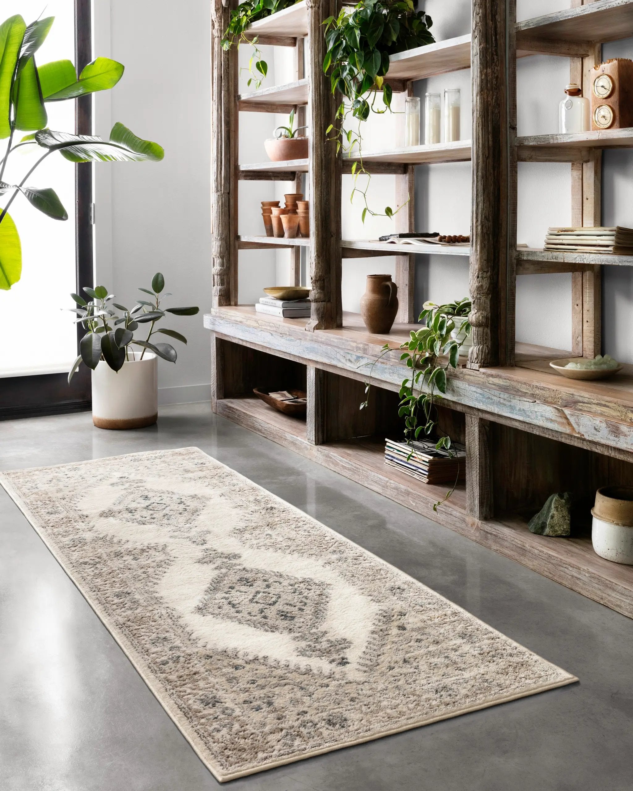 Teagan TEA-02 Oatmeal / Ivory Area Rug by Loloi