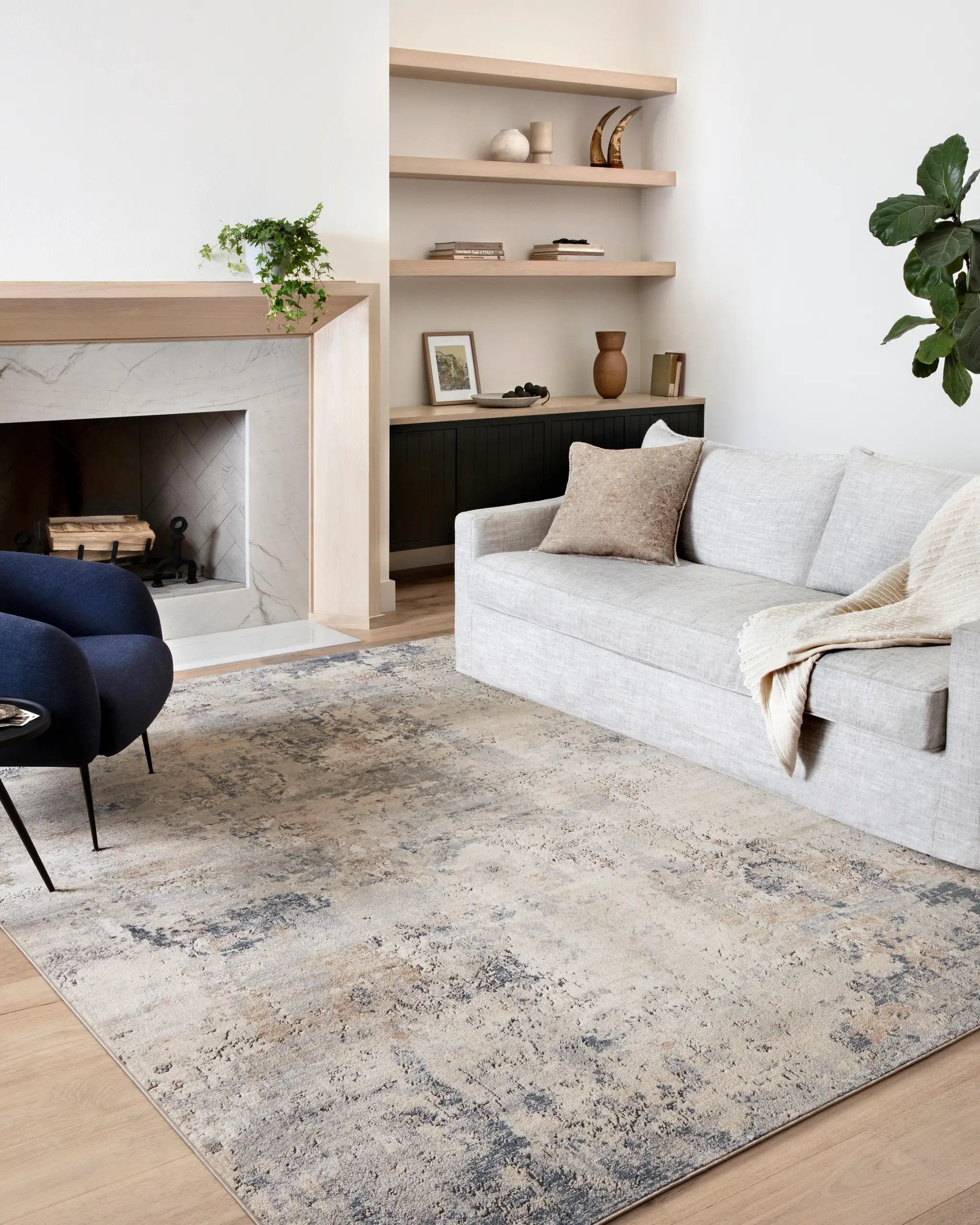 Teagan TEA-06 Sand / Mist Area Rug by Loloi