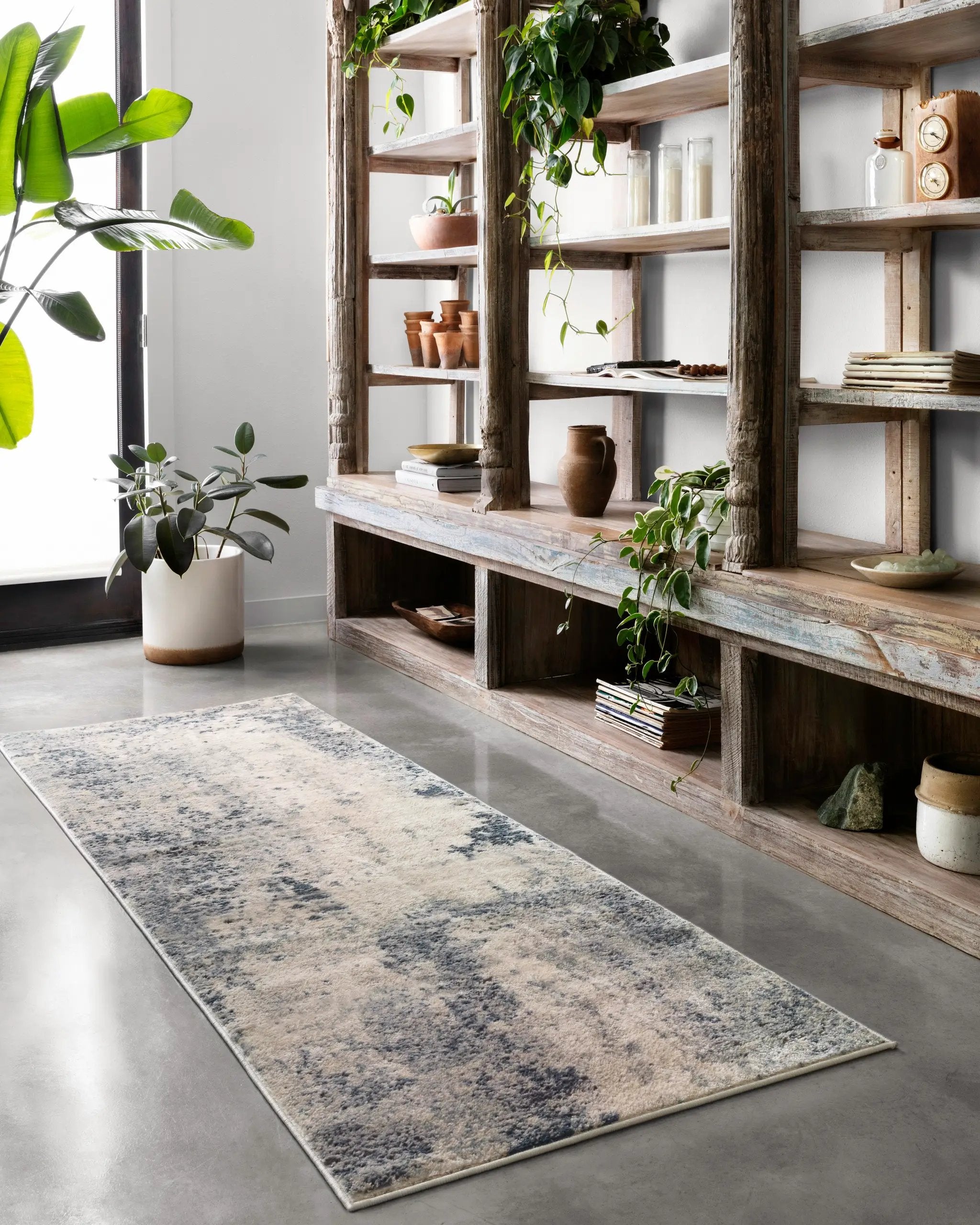 Teagan TEA-07 Natural / Denim Area Rug by Loloi