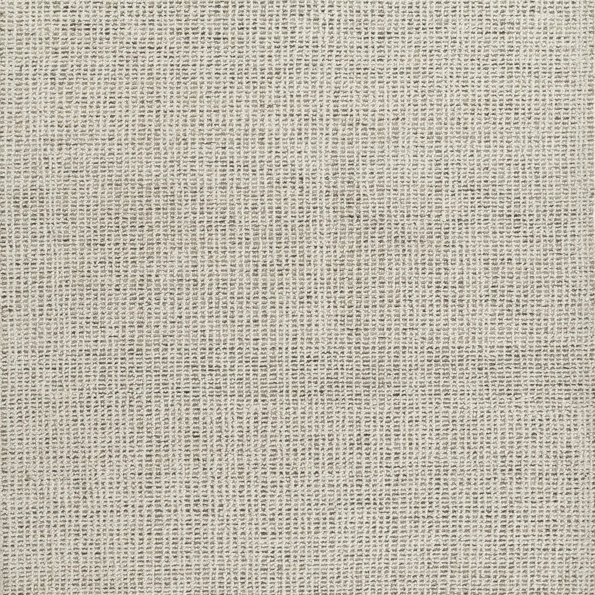 Thomas THM-1 Gray Area Rug by Momeni