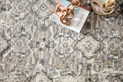 The Theory THY-03 Natural / Grey Area Rug blends warm natural and elegant grey tones and transitional motifs into a power-loomed polypropylene and polyester area rug with timeless appeal