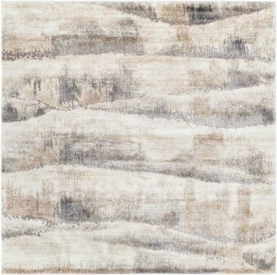Surya Tuscany TUS-2345 Ivory Area Rug by LIVABLISS