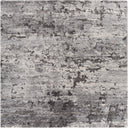 Surya Tuscany TUS-2310 Gray Area Rug by LIVABLISS