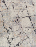 Surya Tuscany TUS-2314 Ivory Area Rug by LIVABLISS