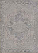 Couristan Imperial Persia V004-1004 Grey Area Rug