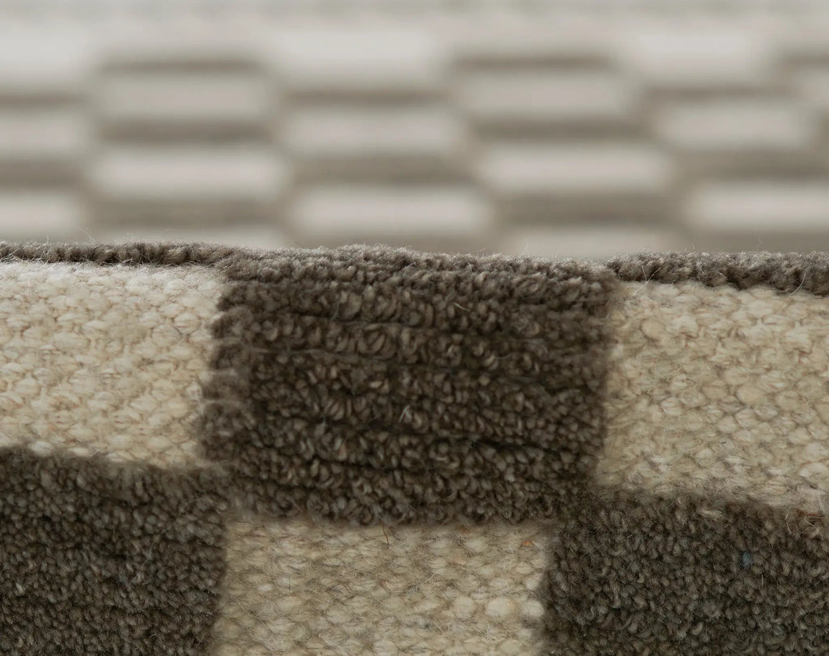 Willow WLO-1 (Checkered) Charcoal Area Rug by Momeni