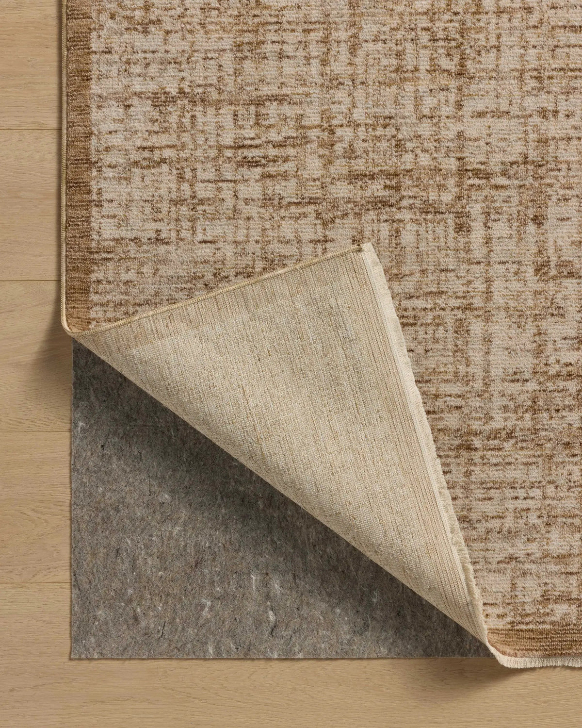 Winston WIT-01 Spice / Bone Area Rug by Loloi