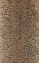 Erin Gates Woodland WOD-2 Beige Area Rug by Momeni