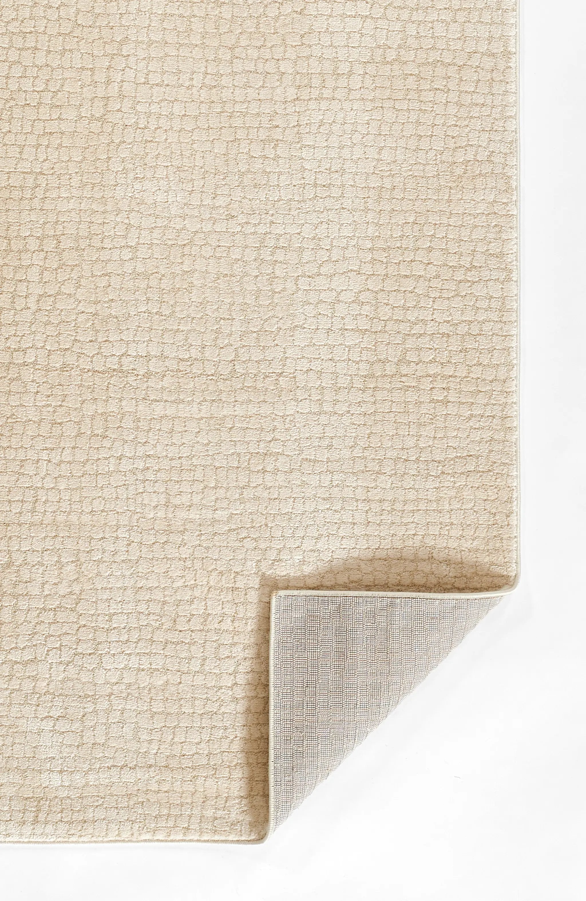 Wren WRE-4 Ivory Area Rug by Momeni