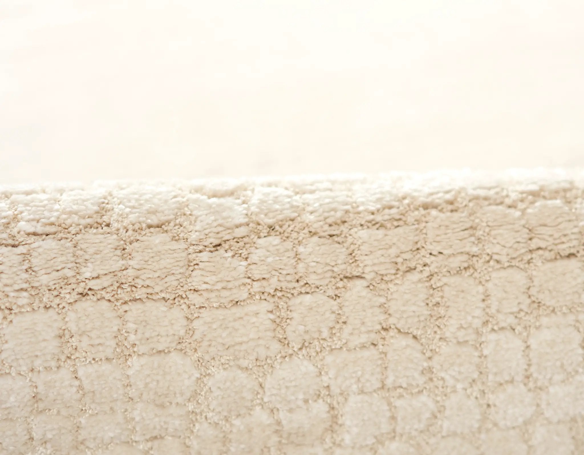 Wren WRE-4 Ivory Area Rug by Momeni