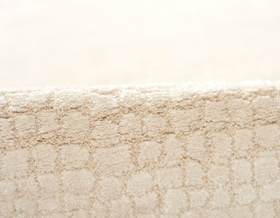 Momeni Wren WRE-4 Ivory Area Rug