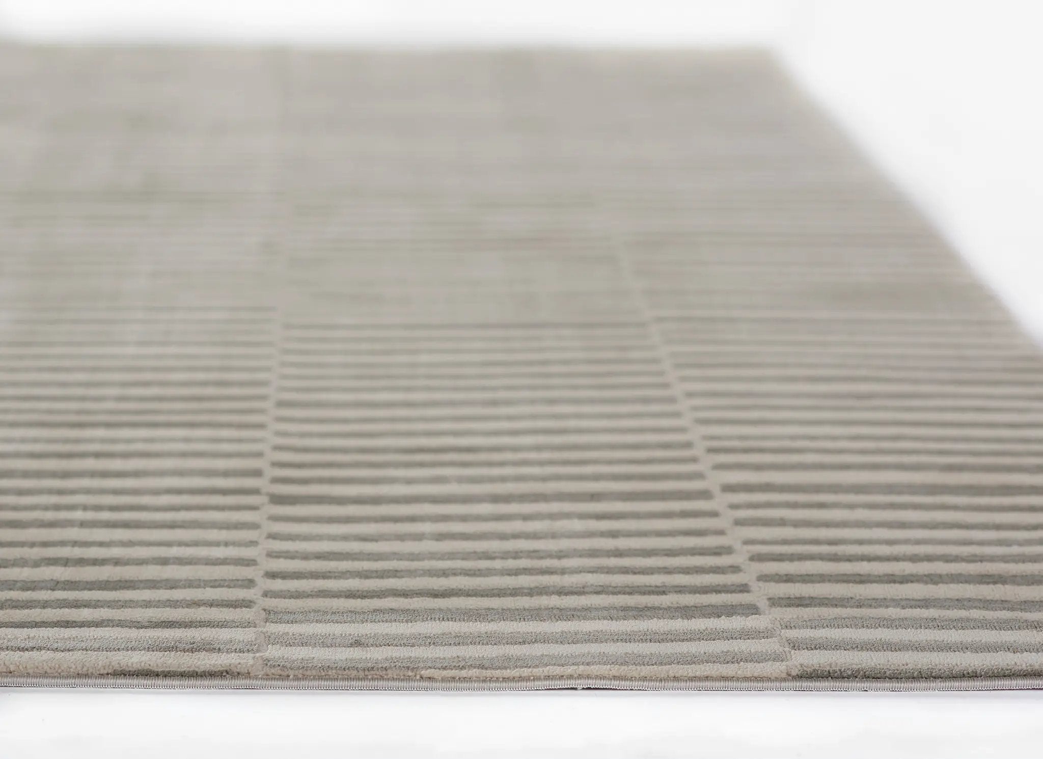 Xander XAN-1 Gray Area Rug by Momeni