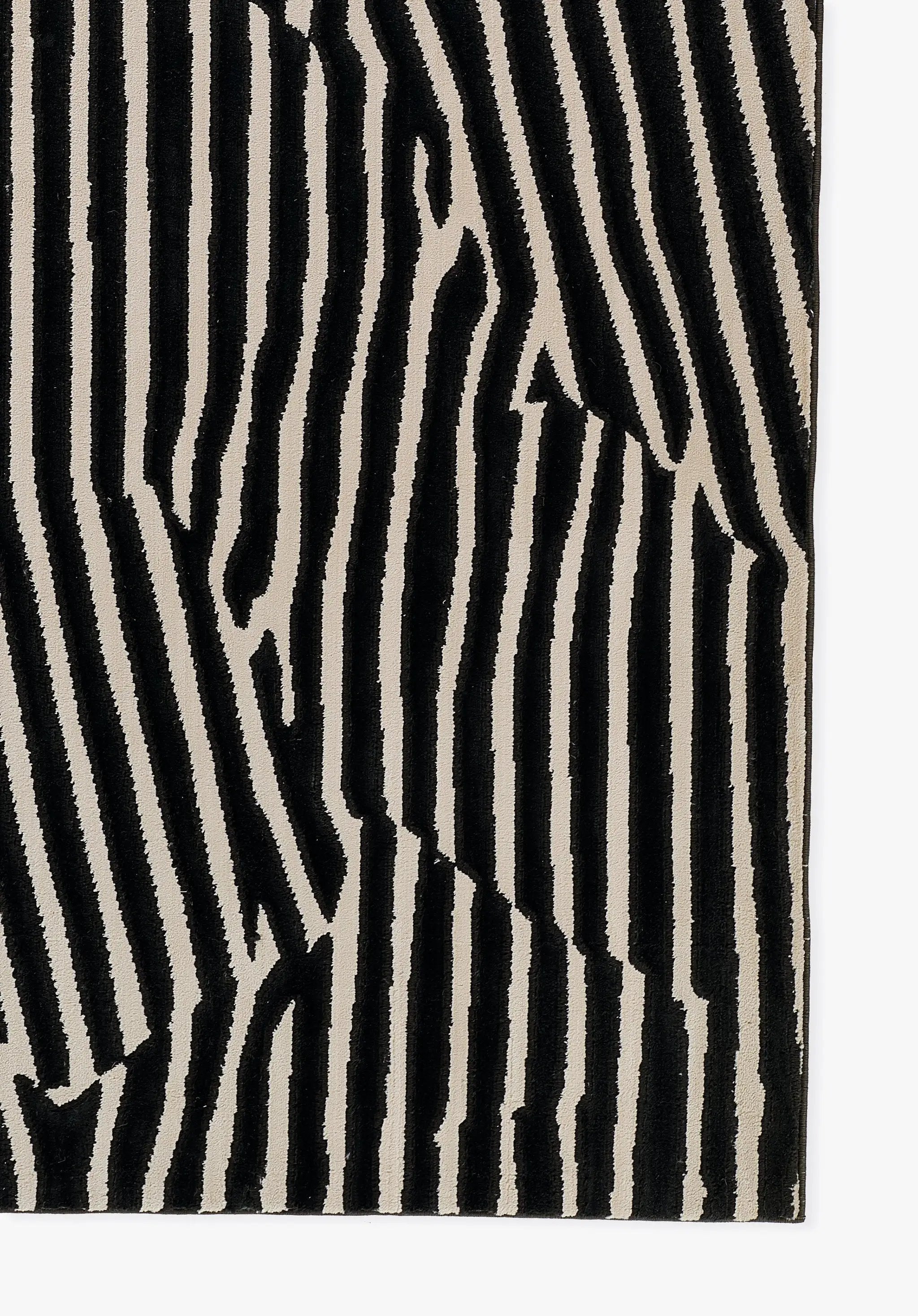Xander XAN-2 Black Area Rug by Momeni
