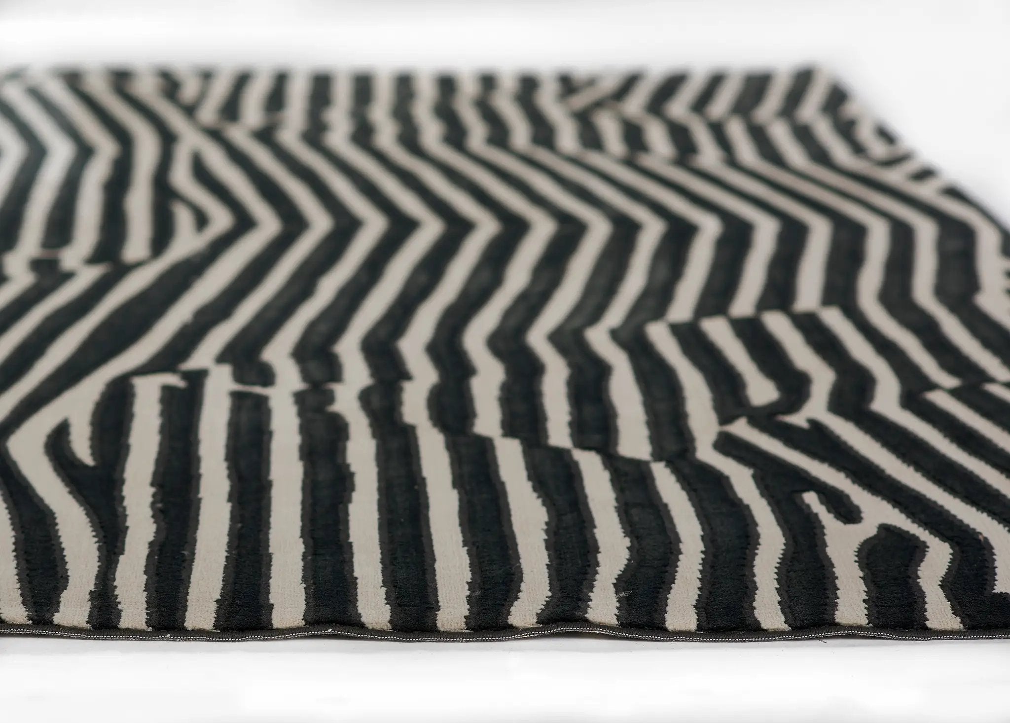 Xander XAN-2 Black Area Rug by Momeni