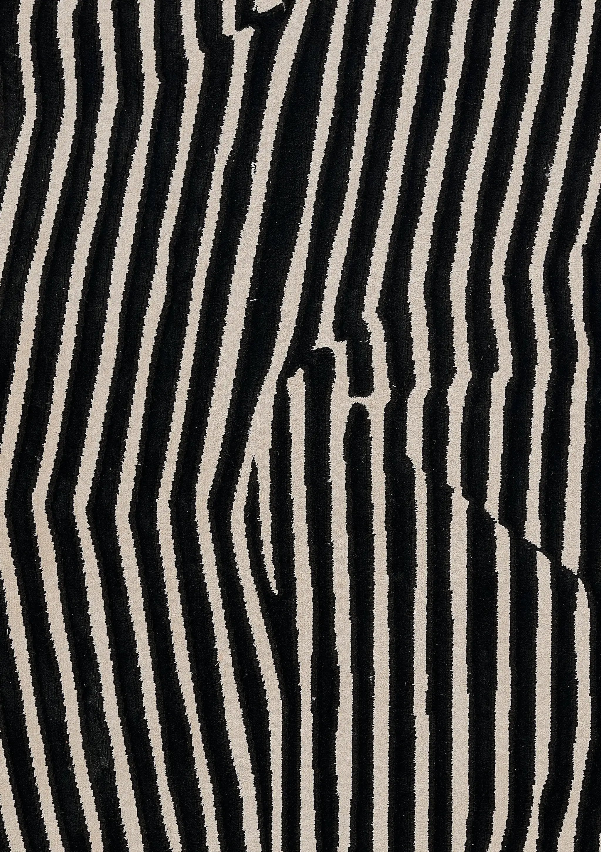 Xander XAN-2 Black Area Rug by Momeni