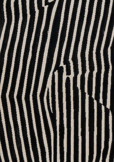 Momeni Xander XAN-2 Black Area Rug