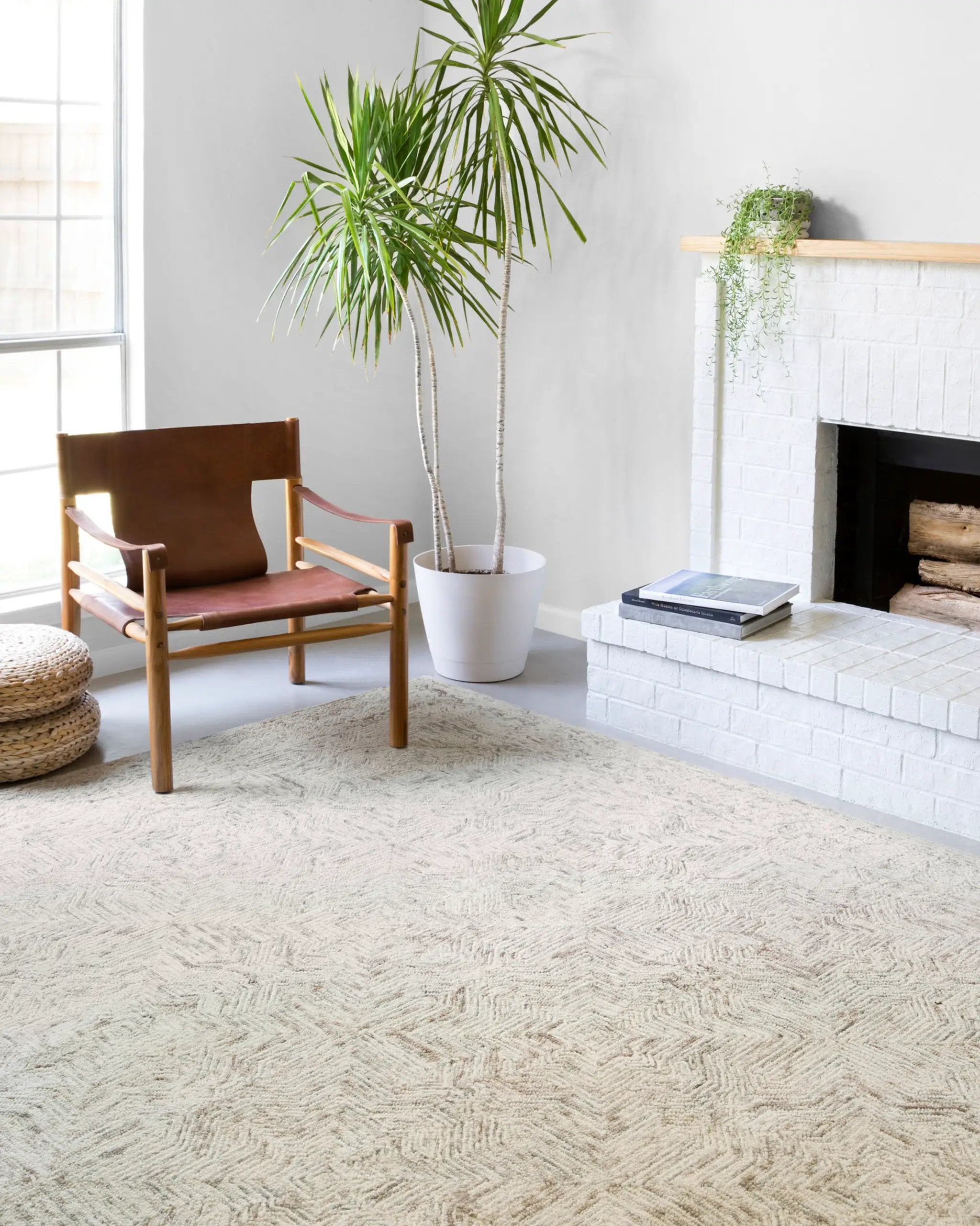 Ziva ZV-01 Neutral Area Rug by Loloi